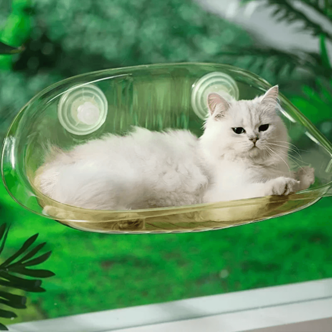 Lit Suspendu Moderne pour Chats