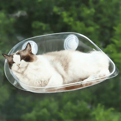 Lit Suspendu Moderne pour Chats